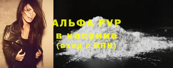 ECSTASY Богородск