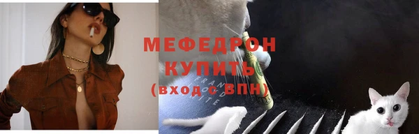 ECSTASY Богородск