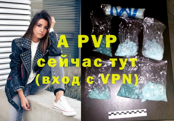 ECSTASY Богородск