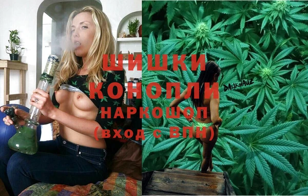 ECSTASY Богородск