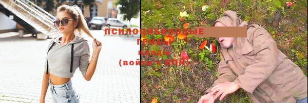 ECSTASY Богородск